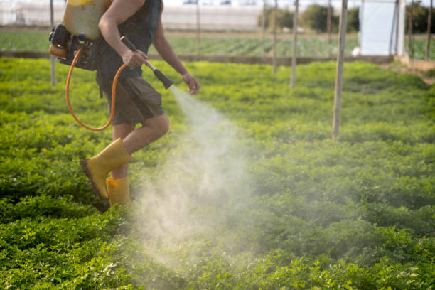 Best Pest Control Treatment  in La Grange, TX