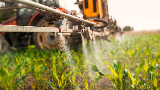 Best Best Pest Control Companies  in La Grange, TX